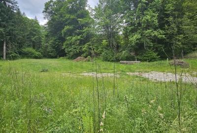 REL4001144 Teren de vanzare in Valea Doftanei - 4