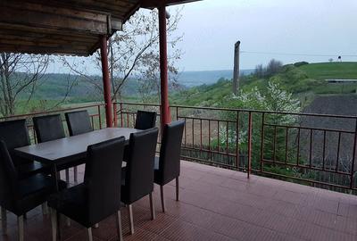 Casă cu 15 camere cu Teren 6500 Mp în Sutești - 7