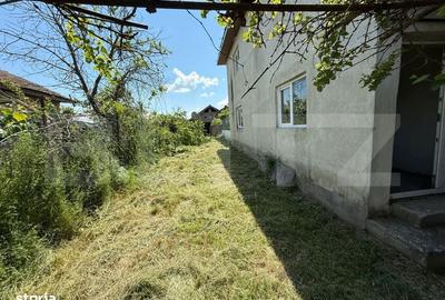 Casă cu 3 camere în Jiul - 2