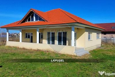 Casă cu 4 camere cu Teren 715 Mp în Lăpuș - 5