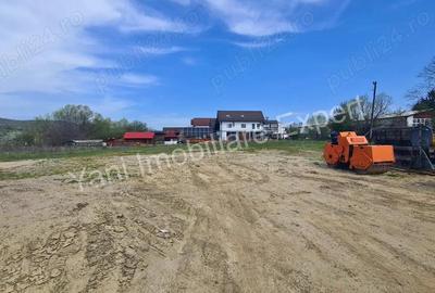 Teren de vanzare inchiriere in Curtea de Arge?. - 10