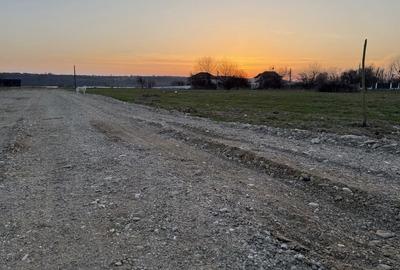 Teren de 652 mp, în Șimian - 6
