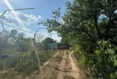 Casă cu 5 camere | Pivniță și Livada | Aproape de București | - 14