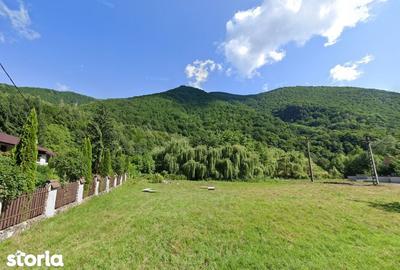 Teren de 1264 mp, în Râu de Mori - 5