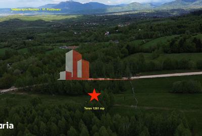 Teren de 5261 mp, în Tohănița - 4