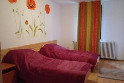 Casă individuală cu 6 camere cu Teren 854 Mp în Văliug - 18