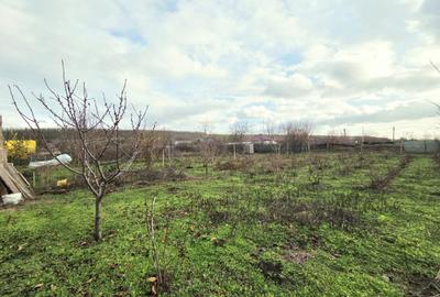 Casă pe structură de lemn Construcție modernă, eficientă și durabilă la Schela - 3