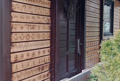 Casă cu 2 camere în Băița - 4