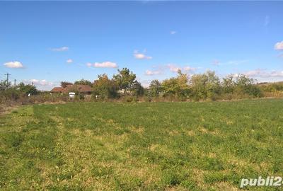 Teren de 39500 mp, în Valea Călugărească - 4