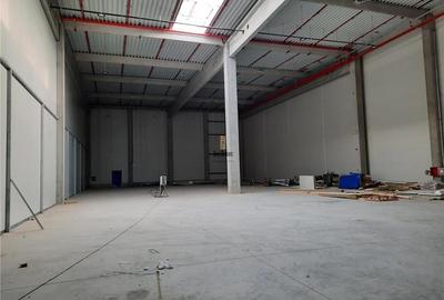 Spatiu Industrial - 7500 mp - Logistica - Productie - Depozitare - Distributie - 15