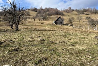 Teren de 2881 mp, în Bran - 3