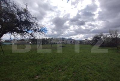 Casa 80mp, teren 7500mp , intravilan, zona Valea Bargaului - 2