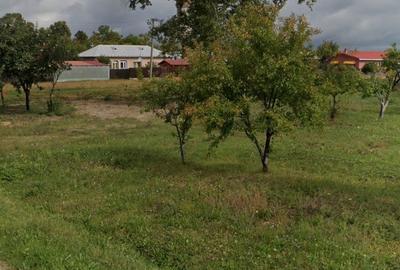 Teren de 4500 mp, în Spineni - 4