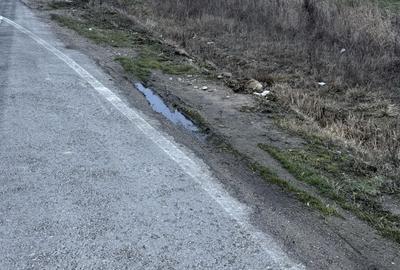 Spațiu comercial, în Saca - 3