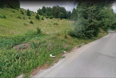 Teren de 6128 mp, în Dâmbovicioara - 4