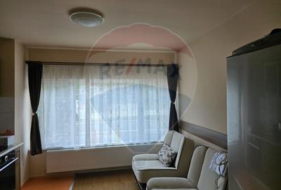 Casa / Vila cu 7 camere de vanzare - 5