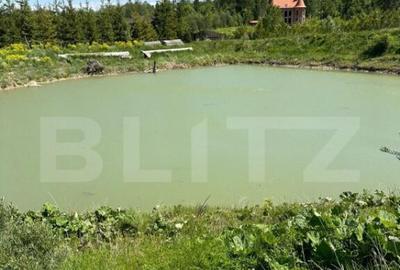 Casă cu 4 camere cu Teren 10000 Mp în Central