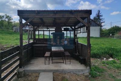 Casă cu 2 camere cu Teren 1250 Mp în Cărbunari - 4