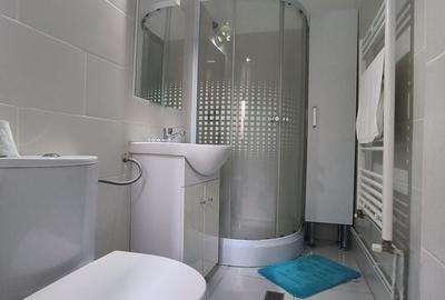 Apartament 4 camere de vanzare Grivitei Buzesti - 12