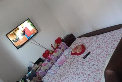 Casa cu curte proprie/ metrou Brancoveanu/Parc Tineretului - 2