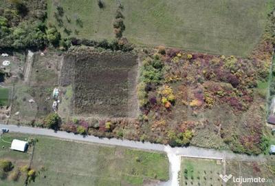Teren de 6896 mp, în Borhanci - 9