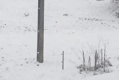 Teren în Pârteștii de Jos - 3