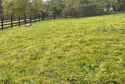 Spațiu comercial, în Predeluț - 2