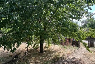 Casă cu 4 camere cu Teren 1610 Mp în Ciochina - 9