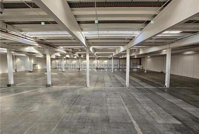 Spatii Industriale - 10000 mp - Logistica - Productie - Depozitare - Distributie - 5