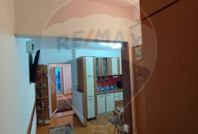 Apartament cu 2 camere semidecomandat, mobilat în Crihala - 9