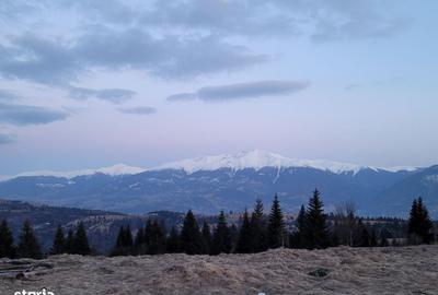 Teren de 470000 mp, în Moisei - 1