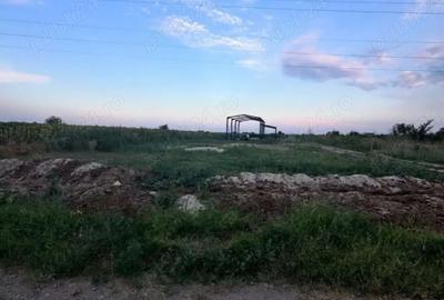 Teren de 2000 mp, în Săbăreni - 6