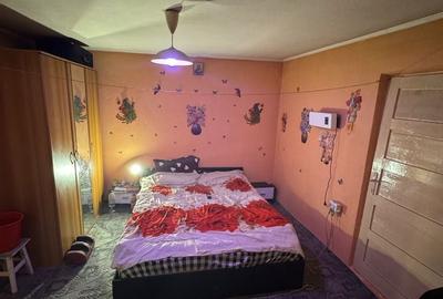 Casă cu 2 camere în Copaciu - 2