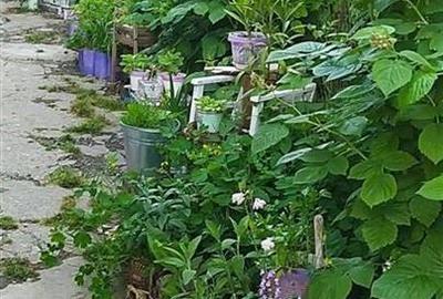 Oferta vanzare casa 3 camere zona Mihai Bravu//teren 250mp// deschidere 10ml - 3