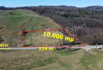 Teren 10.000 mp de vanzare in comuna Valea Ia?ului, jude? Arge?. Teren 10.000 mp de vanzare in comuna Valea Ia?ului, jude? Arge?. - 1