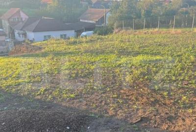 Teren 800 mp, front 28 ml, Giarmata! - 3