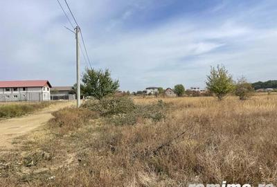 Domne?ti, Teghes, teren de 1000mp langa padure, utilitati. - 2