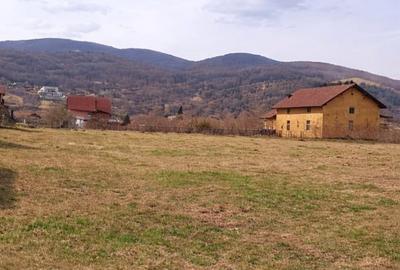 Teren Construcții intravilan de 1385 mp, în Micești - 1