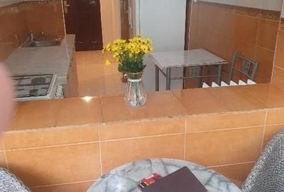 Apartament cu 2 camere semidecomandat în Alexandru Obregia - 3