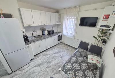 Apartament cu 2 camere decomandat, mobilat în Șagului - 13