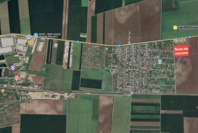 Spațiu comercial, în Brănești - 2