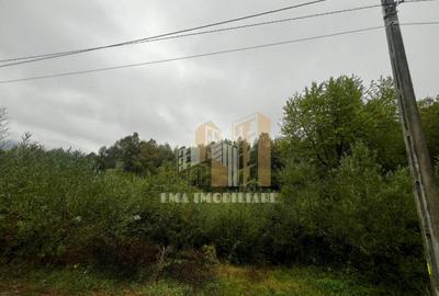 Teren intravilan Sinca Noua - 8