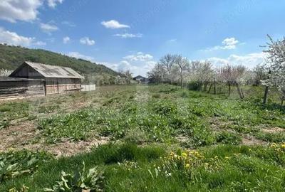 Casă cu Teren 2300 Mp în Cășeiu - 12