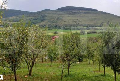 Teren de 1617 mp, în Mintiu Gherlii - 2