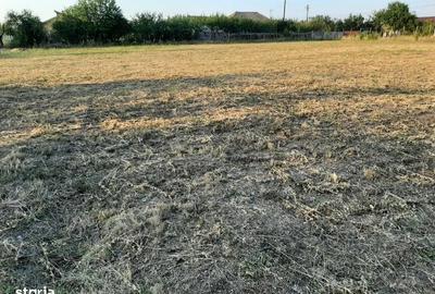 Spațiu comercial, în Central - 1