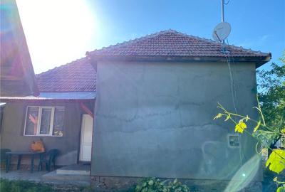 Casă cu 3 camere cu Teren 1709 Mp în Scărișoara Nouă - 4