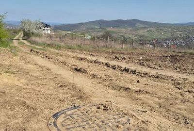 Teren de 3000 mp, în Tomești - 4