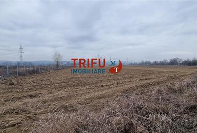 Teren industrial de vanzare 3650 mp in Alba Iulia cu utilitati - 4
