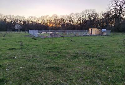 Spațiu comercial, în Hărman - 7