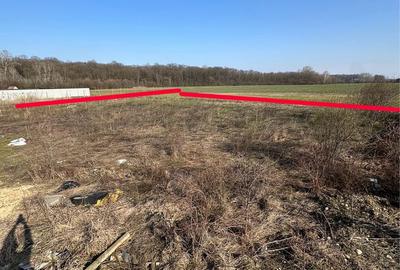 Teren de 1000 mp, în Țegheș - 4